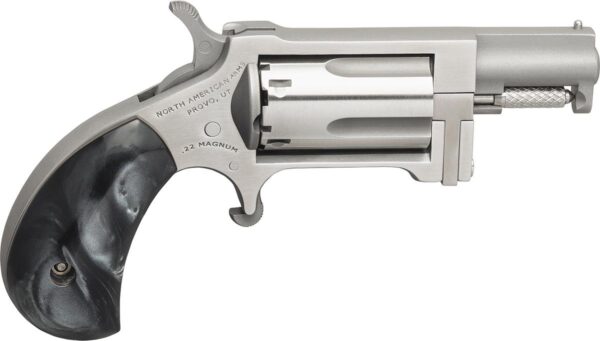 NDNAASWGPB NAA Sidewinder Mini Revolver .22 WMR 1.5" Barrel w/Black Pearl Grip