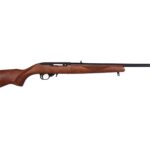 RU1150 RUGER 10/22 22LR BL/WD 22"