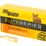 SGE225VP40 1 SIG AMMO 22-250REM 40GR V&P 20/200