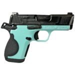 SW12615TF 1 S&W CSX "Tiffany Frame" Handgun 9mm Luger 10&12rd Magazines 3.1" Barrel Thumb Safety Black Slide