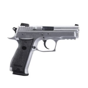 SAR Arms K2 45C .45 ACP compact stainless pistol with two 13-round magazines