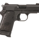 km33002334d2a KIMBER MICRO 9MM 3.15" RAPTOR SHADOW