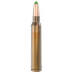 lapua n317204 Lapua Rifle Ammuntion .300 Win Mag 170gr Naturalis Solid 10/ct