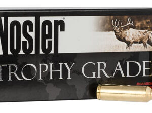 Nosler 40152 E-Tip  300 WSM 180 gr E Tip Lead Free 20 Per Box/ 10 Case