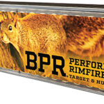 166963 Browning Ammo B194122100 BPR Performance Rimfire 22LR 40gr Hollow Point 100 Per Box/10 Case