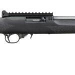 31197r5638 RUGER 10/22 CARBINE 22LR BL/HOGUE