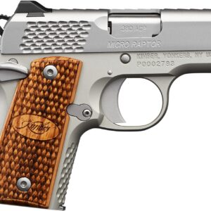 Kimber Micro Raptor .380 ACP pistol with 2.75-inch barrel and tritium night sights