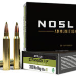 50394 Nosler 40038 E-Tip 300 Win Mag 180 gr E Tip Lead Free 20 Per Box/ 10 Case