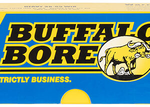 Buffalo Bore Ammunition 11C20 Heavy Strictly Business 38-55Win 255gr Semi Jacketed Flat Point 20 Per Box/12 Case