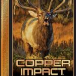 AX300SCLF2 WINCHESTER COPPER IMPACT 300 - WSM 180GR 20RD 10BX/CS