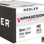 N25075 1 NOSLER BULLETS 6MM .243