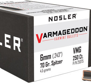 NOSLER BULLETS 6MM .243