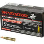 WNS17W25 1 WIN VARMINT HE 17WSM 25GR PT 50/500