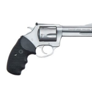 Charter Arms Professional VI .357 Magnum revolver, 4.2" stainless barrel, wood grip