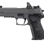 226legionrxsao26d94 SIG SAUER P229 LEGION 9MM SAO R1PRO 10 #