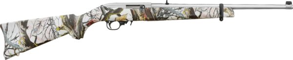 31208 scaled RUG 10/22 22LR AMR 18.5 SS DE