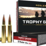 AN60099 1 NOSLER TROPHY GRADE LR 33 - NOSLER 265GR ABLR 20RD 10BX/CS