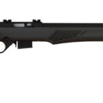 btrb17h2111 ROSSI RB17 17HMR BLK/SYN 21" 5+1