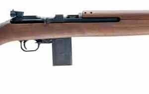 Chiappa M1-22 .22 LR carbine 18-inch barrel, hardwood stock, blued finish