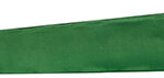 161998 Remington Accessories RNGS52 Gun Sleeve 53" Green Neoprene