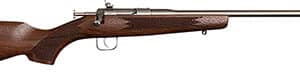Chipmunk 10002 Deluxe The Original Youth Deluxe Single Shot 16.10" Satin Tapered Barrel, Satin Stainless Steel Receiver, Fixed American Walnut Stock, EZ Loader