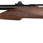 167613 Chipmunk 40001 Hunter Youth Frame 22 S/L/LR Single Shot 9" Threaded Blued Steel Barrel, Walnut Frame, EZ Loader