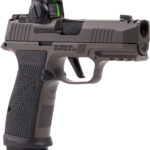 798681691913 rfa SIG P365AXG LEGION RXX 9MM 17R