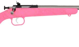 Davey Crickett Crickett .22 LR youth rifle pink synthetic stock stainless barrel