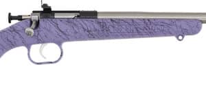 Davey Crickett Crickett .22 LR bolt-action youth rifle with purple synthetic stock and stainless barrel