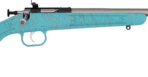Davey Crickett Crickett .22 LR youth bolt-action rifle with blue and gold webbing and stainless barrel