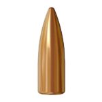 SY 224 1 Atlanta Arms Specialty Cartridge .224 55GR FMJ Bullets 250/ct