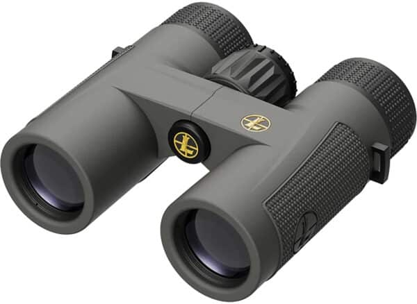 Leupold 172660 BX-4 Pro Guide  HD 10x32mm Roof Prism Shadow Gray Armor Coated