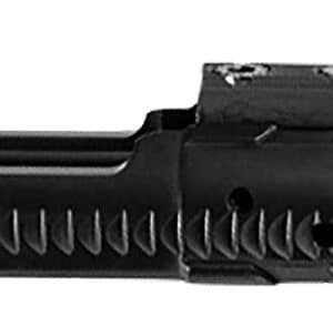 Lead & Steel Llc ARC-BCG-SC-DLC Bolt Carrier Group  5.56MM/300BLK DLC