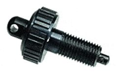 79544