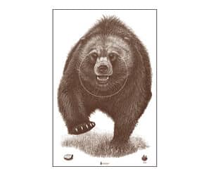 ACTION TGT AK STATE PARK BEAR 100PK