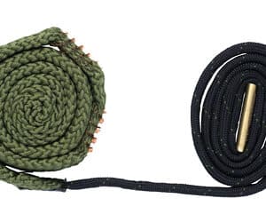 BORESNAKE PSTL 9MM/380 W/ DEN