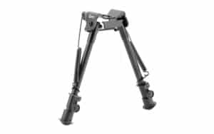 CAL1081951 1
