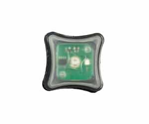 UNITY SPARK LIGHT GREEN