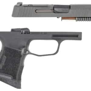 Sig Sauer 8900719 P365 Caliber Exchange Kit 380 ACP 3.10" 10+1 Black Nitride Slide Black Polymer Frame SigLite Night Sights for All Sig P365 Models