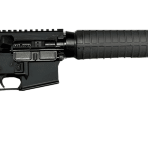 Doublestar DBLSTR 16-inch AR rifle in sniper grey furniture, 30rd magazine installed