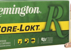 REMINGTON 30-30 WIN 170GR - CORE-LOKT HP 20RD 10BX/CS