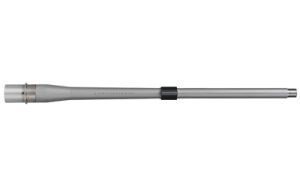BABL243001P 1
