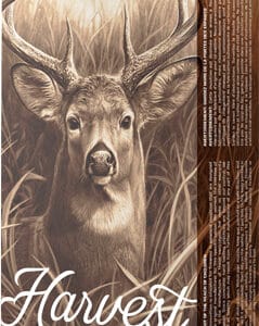 BARNES HARVEST 223 REM 69GR - TIPPED GAMEKING 20RD 10BX/CS