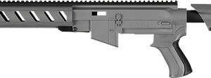 ADV. TECH. RUGER AR22 STOCK - SYSTEM W/ 6 SIDED FOREND GRAY