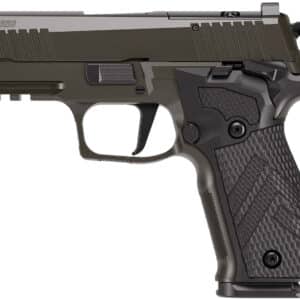 Sig Sauer P226-XCarry Legion 9mm 3.8in Legion Gray Cerakote pistol