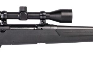 SAV 57987  AXIS XP  350L    DBM MATTE