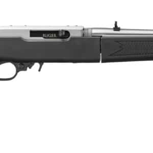RUGER 10/22 TD 22LR SS/SYN 18.5"