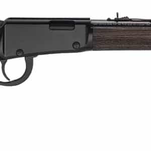 HEN GARDEN LVR SHTGN 22LR 15R