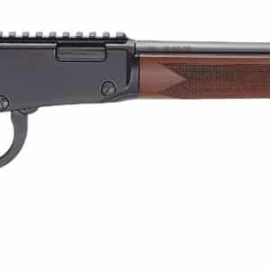 HEN BANDIT LVR 22WMR