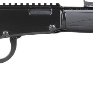 HEN X MODEL LVR 22WMR